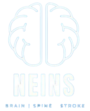 NEINS – North East Institute of Neuroscience